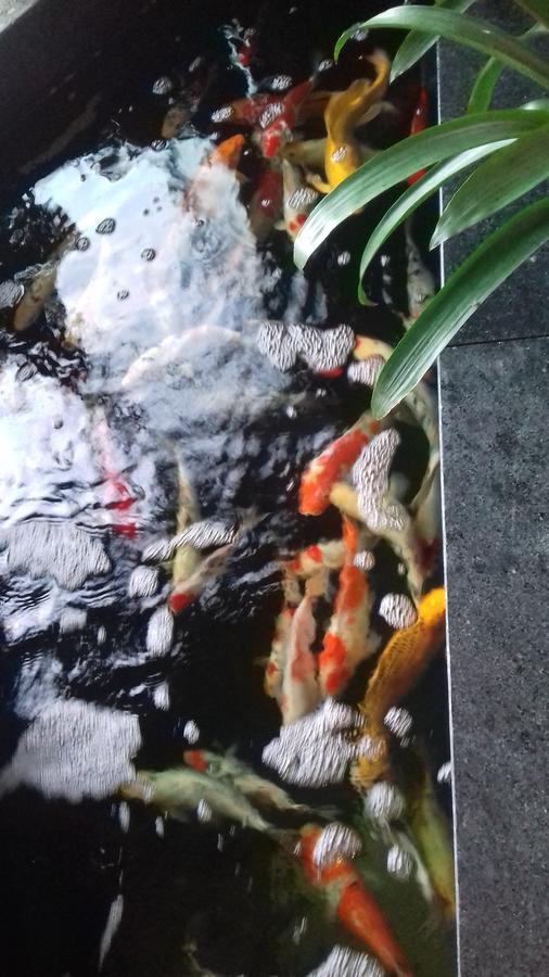 Отель Khach San Hiep Yen Туихоа Экстерьер фото